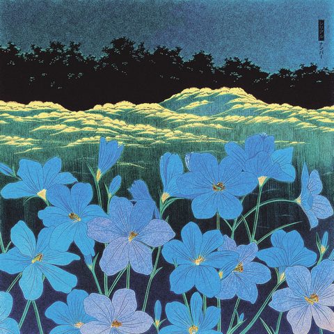 bloom cover art