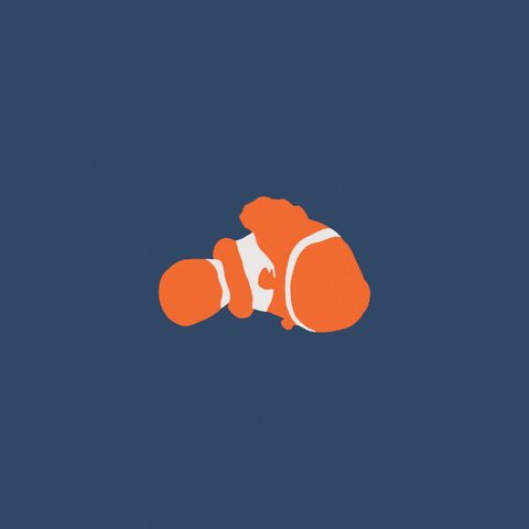dear nemo cover art